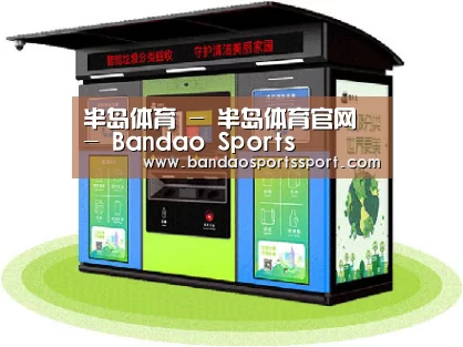 成功案例标题三