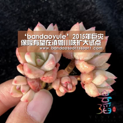 半岛娱乐官方网站