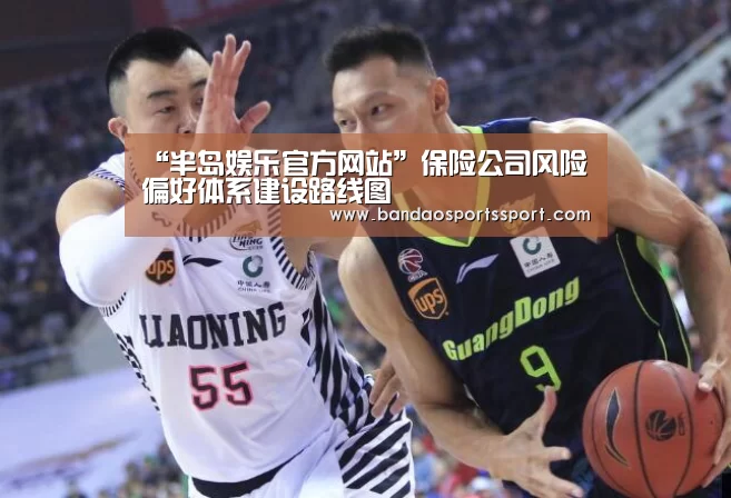“半岛娱乐官方网站”保险公司风险偏好体系建设路线图(图3) 半岛娱乐官方网站