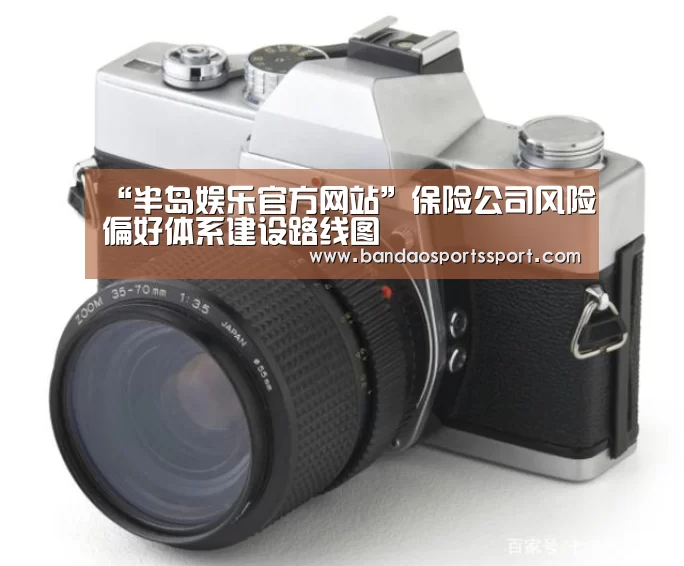 “半岛娱乐官方网站”保险公司风险偏好体系建设路线图(图4) 半岛娱乐官方网站
