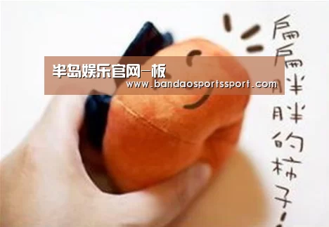 半岛娱乐官网-板(图4) 半岛娱乐官网-板(图4)