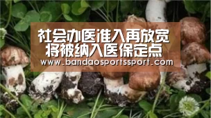 社会办医准入再放宽 将被纳入医保定点范围“半岛娱乐官方网站”(图3) 半岛娱乐官网