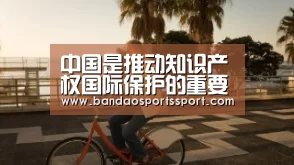 中国是推动知识产权国际保护的重要力量_时事政治_中公教育网‘半岛娱乐官方网站’(图2) 半岛娱乐官网